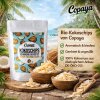 750g Bio Kokoschips, geröstet & ungesüßt von Copaya