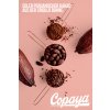 250g Bio Roh Kakaobohnen von Copaya