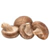 100g gebratene Shiitake Pilze von Copaya