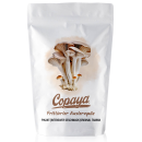 100g frittierte Austernpilze pikant von Copaya