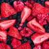 Gefriergetrocknete Erdbeerscheiben von Copaya