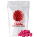 100g Gefriergetrocknete Himbeeren von Copaya