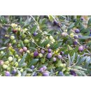 350g Bio schwarze Oliven von Cal Valls