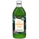 Bio Matcha Ingwer Eistee ohne Zuckerzusatz von Gewusst wie
