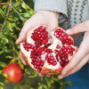 9 x 700ml Bio Granatapfel Direktsaft von Elite Naturel