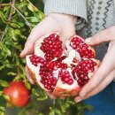18 x 700ml Bio Granatapfel Direktsaft von Elite Naturel