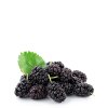Bio Maulbeere Direktsaft von Elite Naturel - SALE